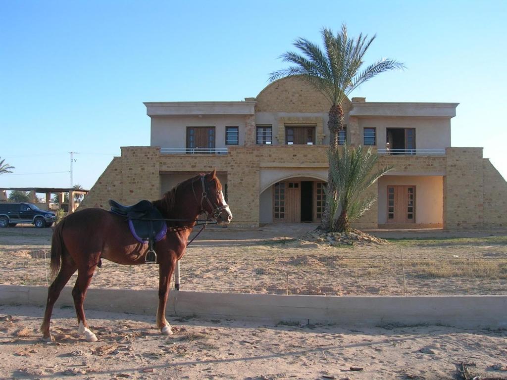 Bella Djerba Hotell Houmt Souk  Eksteriør bilde